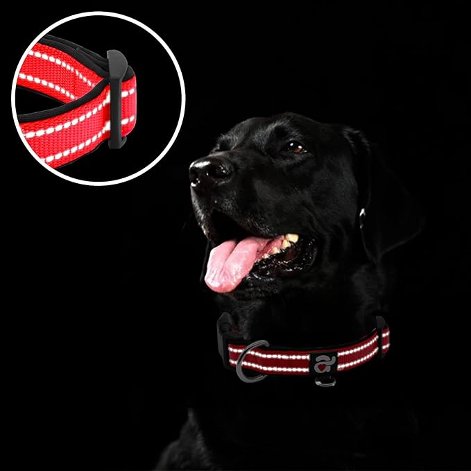 azuza Reflective Dog Collar,Soft Neoprene Padded Pet Collar with ID Tag Ring,Adjustable for Medium Dogs,Red,M