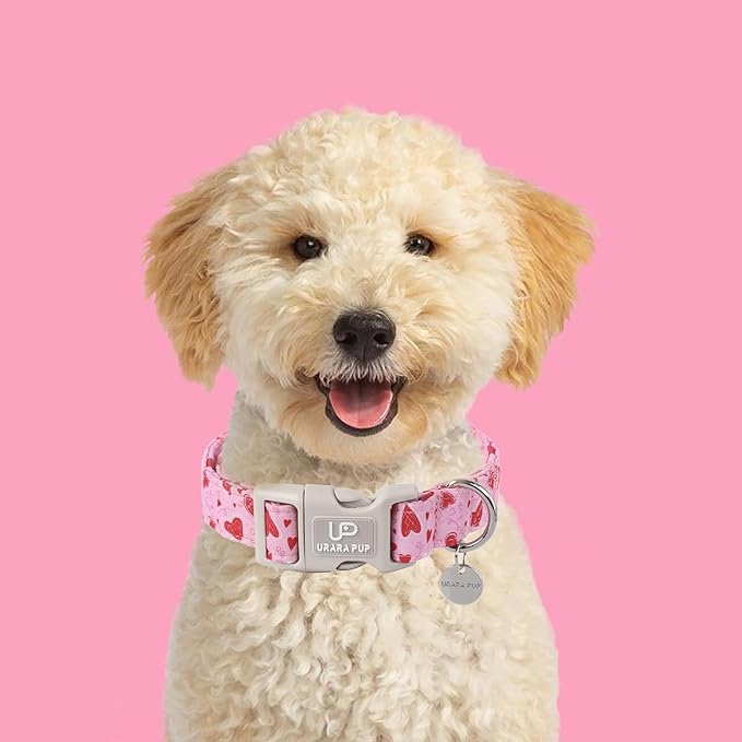 Valentine's Day Collar - Pink Heart Quick Release for Puppy Dogs