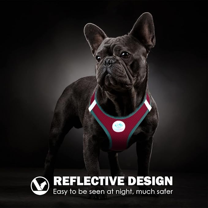 PHOEPET Step-in Dog Harness,Reflective Adjustable Dog Vest Harness, Soft Pet Walking Jacket with 2 Metal Leash Hooks for Dog and Cat(Pink Base & Green Straps,L)