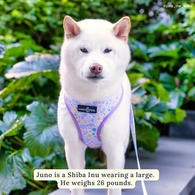 Lucy & Co. Cute Reversible Dog Harness Walking Halter - Best Designer Pet Harnesses for XS - XL Dogs - Padded Adjustable Vest for Easy Walking (Small, Among The Wildflowers - Purple Floral)