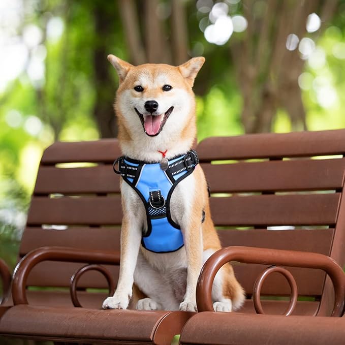 PoyPet Dog Harness No Pull, Reflective with Front & Back 2 Leash Hooks and an Easy Control Handle Pet Harness for Puppy Small Dog, Adjustable Soft Padded Vest Harness(Blue,S)