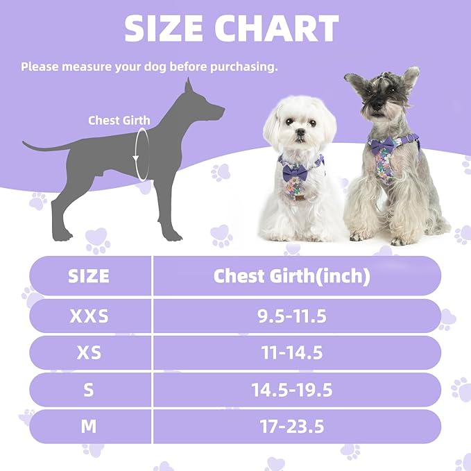 PUPTECK Dog Harness and Leash Set Small Sized, Step-in Cute Puppy Harness, Soft Lightweight Padded Vest, Escape Proof No Pull Pet Harnesses Easy for Walking, Flower Purple, M