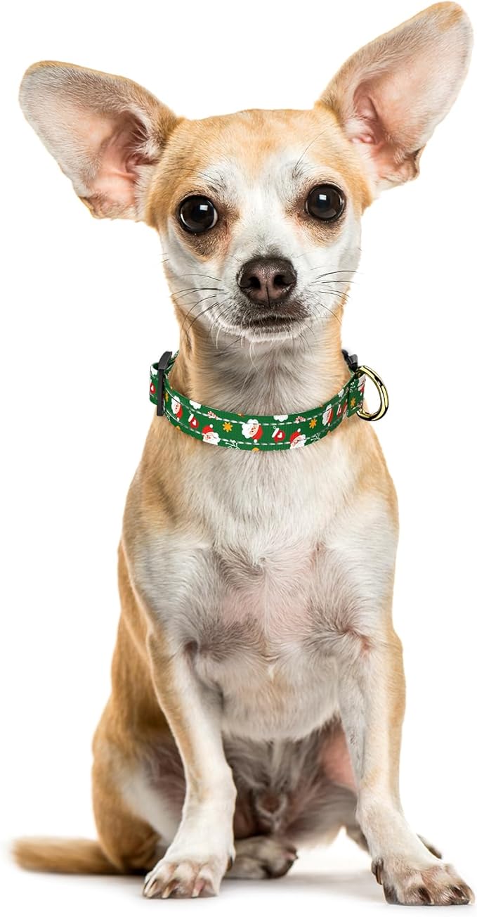 Reflective Dog Collar, Cute Christmas Style Dog Collar for Small Dogs, Soft Nylon Puppy Collar for Boy and Girl Female Dog, Adjustable Pet Collars with Quick Release Buckle,Green XS Dog Collar