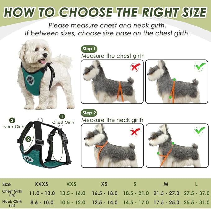SlowTon Dog Seat Belt Harness for Car, Dog Car Harness Adjustable Mesh Breathable & Dog Seatbelt Safety Tether with Elastic Bungee for Small Medium Large Pets(Green, Double Clip, XXS)