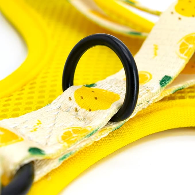 Dog Harness and Leash Set, Adjustable Dog Harness, Dog Leash, No Pull No Choke Puppy Harnesses for Walking Training for Small, Medium, Large Pet (Lemon, S(Chest 13-19", Neck 9.5-13.1"))