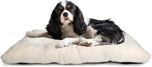 Dog Beds for Crates 30x19 Washable for Medium Size Dogs Soft 30 inch Crate Pad for Kennel or Cage with Anti-Slip Bottom Sleeping Mat Ideal for Dog Crates | Machine Wash & Dryer Friendly,Cream White