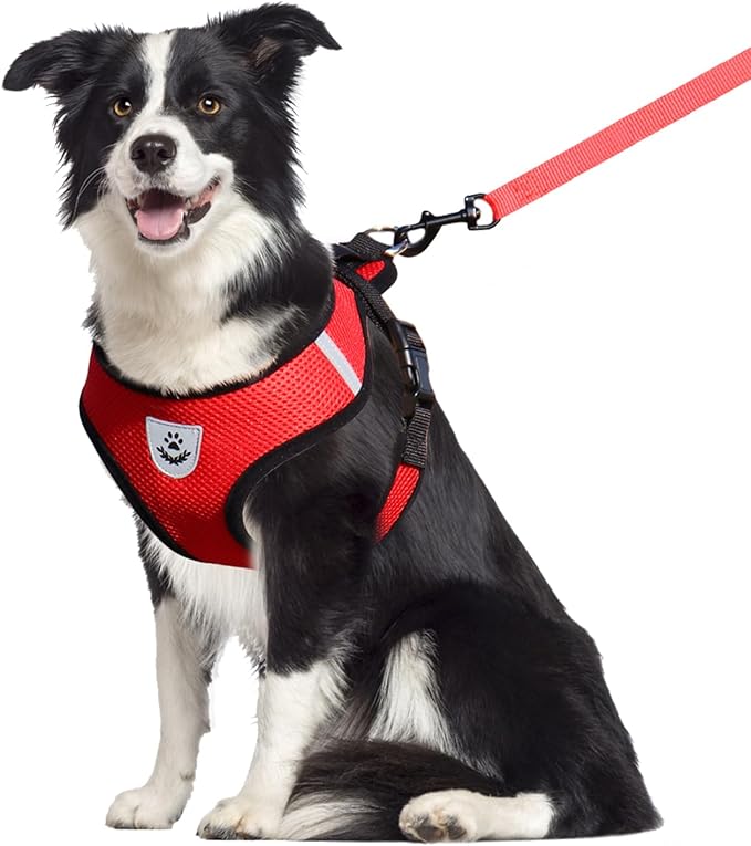 shudyear Dog Walking Chest Harness and Leash, Anti-Escape Adjustable Soft Mesh Dog Leash and Harness Set for Small Dog and Puppies, Vest for Medium Sized Dogs (red, XL)