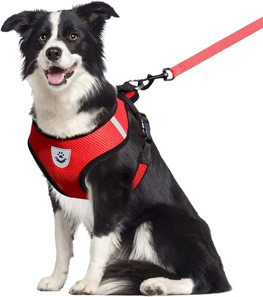shudyear Dog Walking Chest Harness and Leash, Anti-Escape Adjustable Soft Mesh Dog Leash and Harness Set for Small Dog and Puppies, Vest for Medium Sized Dogs (red, XL)