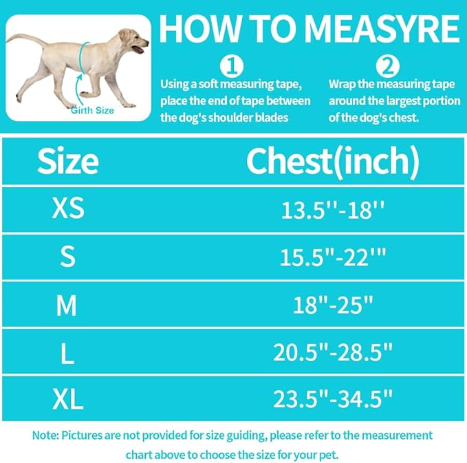 Dog Vest Harness and Leash Set, Animire Reflective Service Dog Vest in Training Dog Harness with 10 Patches, 3 Rings Emotional Support Therapy Dog Harness for Small Medium Large Dogs(Teal,M)