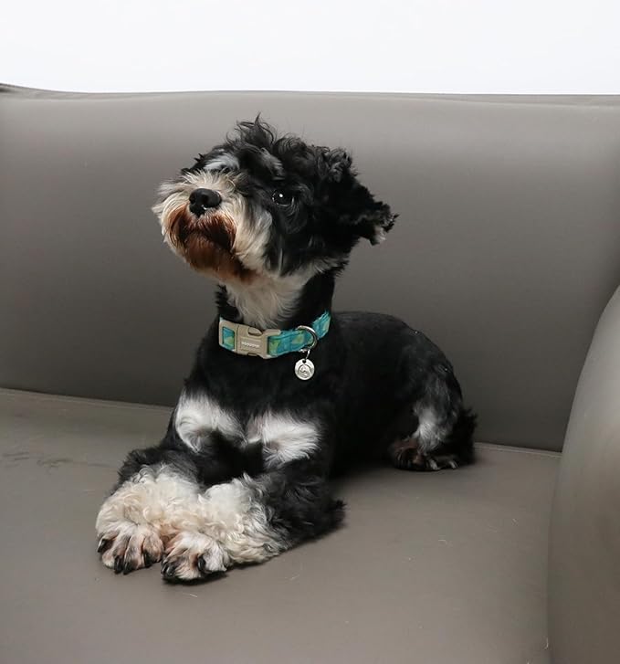 DOGWONG Cotton Dog Collar, Spring Summer Dog Collar Durable Soft Natural Fabric Pet Dog Collar Cute Wedding Puppy Necklace for Small Medium Large Dog