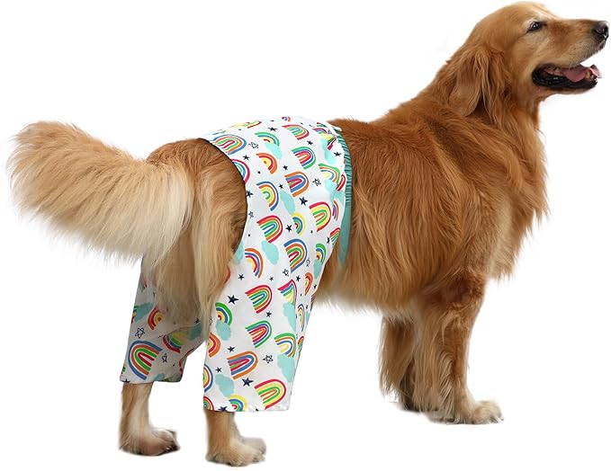 HDE Dog Swim Trunks Hawaiian Board Shorts Beach Pool Swimsuit for XS to XXL Dogs Rainbows - XXL