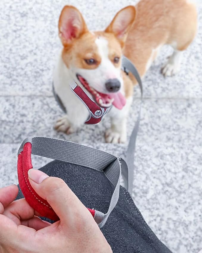 Large Dog Harness and Leash Set,No Pull Adjustable Step in Soft Mesh Vest Harness,Easy Walk Reflective Pet Harness with Padded Handle for Walking Training Small Medium Large Dogs and Cats (Red, L)