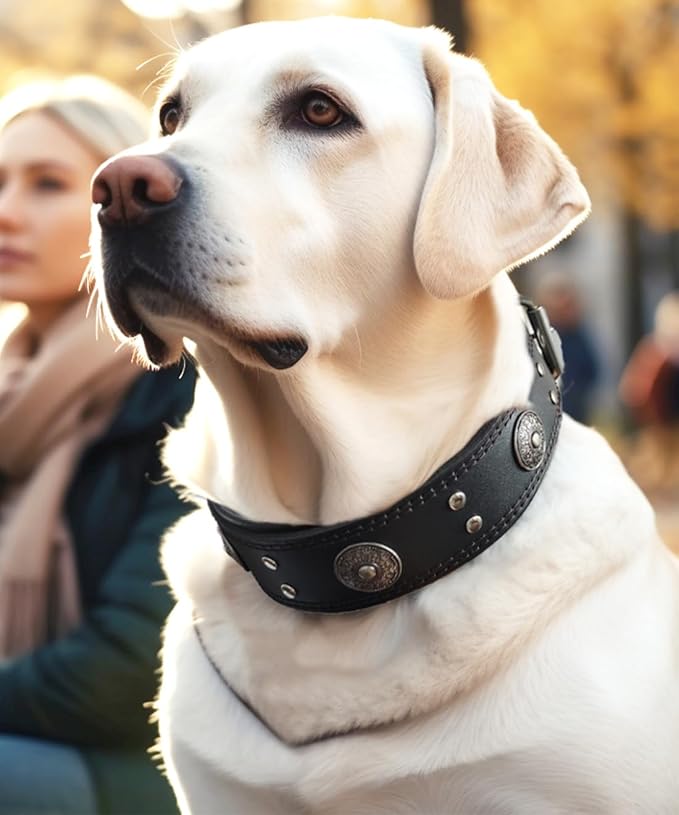 Leather Dog Collar, 2 inches Wide Heavy Duty Genuine Leather Collars, Handmade, Soft, and Luxury, Eye-catching Best Choice for Large and Medium Breed Dogs, Black 16.5-20.5 inches
