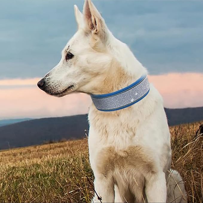 Bling Rhinestone Dog Collar Soft Comfortable Stylish Dog Collar with Bright Reflective Stripe Premium Adjustable Diamond Crystal Pet Collar for Small Medium and Large Dogs (M, Blue)