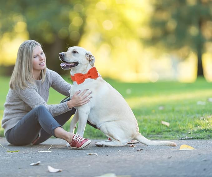 DOGWONG Hemp Cotton Dog Collar with Bow Orange Pet Collar Durable Adjustable Puppy Collar for Small Medium Large Dogs