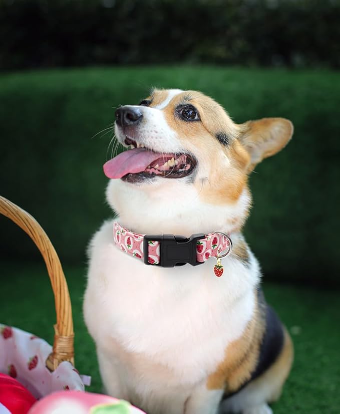 Bubblepup Dog Collar, Adjustable Dog Collar for Small Medium Large Dogs with Soft Cotton & Quick-Release Buckle