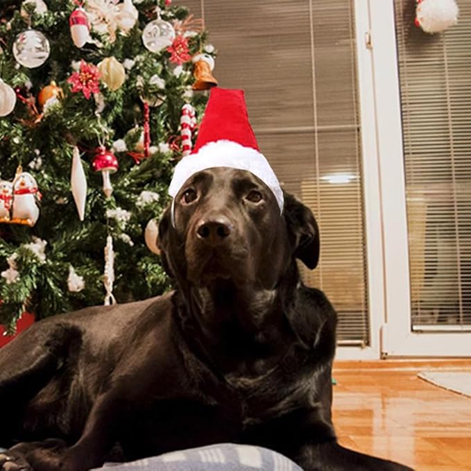 ANIAC Dog Christmas Hat for Medium Large Dog Pet Christmas Outfit Stand up Santa Hat for Dog Kids Santa Costume for Golden Retriever Great Dane Labrador German Shepherd Pitbull (Red Hat, Large)