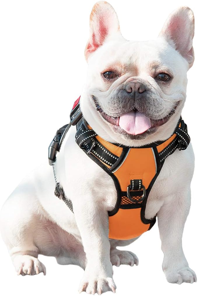 PHOEPET No Pull Dog Harnesses for Small Dogs Reflective Adjustable Front Clip Vest with Handle 2 Metal Rings 3 Buckles [Easy to Put on & Take Off] (XS, Orange)