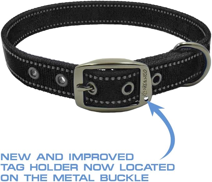 Max and Neo MAX Reflective Metal Buckle Dog Collar - We Donate a Collar to a Dog Rescue for Every Collar Sold (Small, Teal)