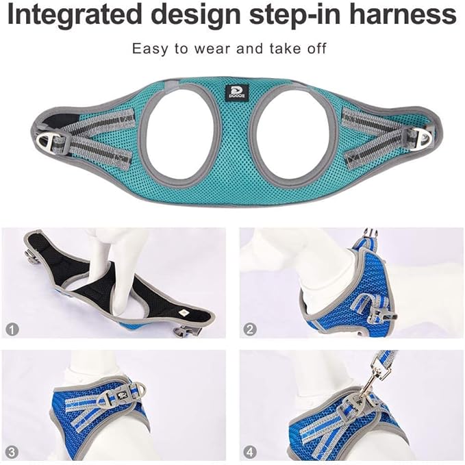 Dog and Cat Universal Harness with Leash - Cat Harness Escape Proof - Adjustable Reflective Step in Dog Harness for Small Dogs Medium Dogs - Soft Mesh Comfort Fit No Pull No Choke (L, Lake Blue)
