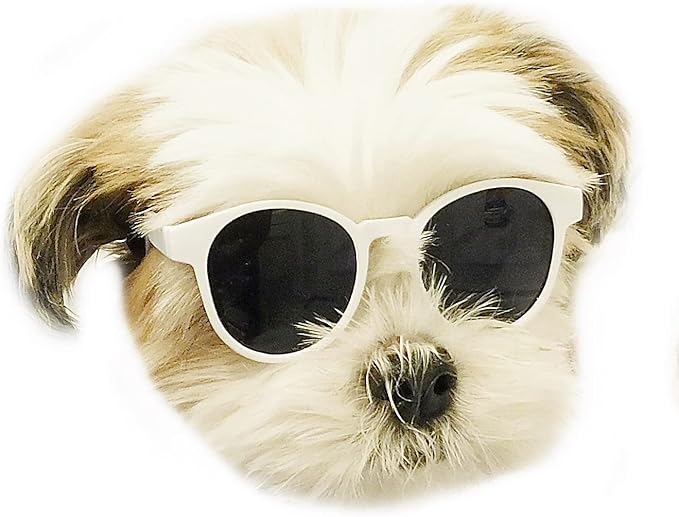 G014 Dog Cat Pet Panto Round Sunglasses for Small Breeds up to 15lbs (Panto White)