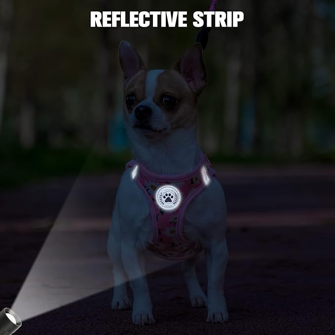 BEAUTYZOO Step in Dog Harness and Leash Set, Floral Pattern Reflective Dog Harness No Pull No Choke Puppy Harness for XXS XS S Dogs Cats, Soft Padded Mesh Vest Harnesses for Girl and Boy Pets