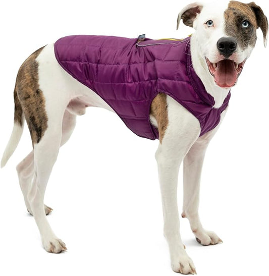 Kurgo Loft Dog Jacket, Reversible Winter Coat for Dogs, Wear with Harness or Sweater, Water Resistant, Reflective, for Small Medium Large Pets (Deep Violet, L)