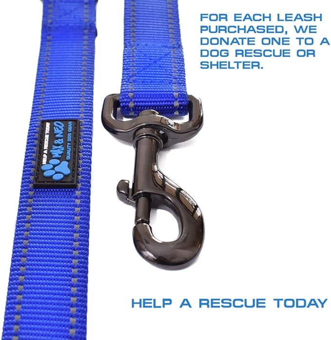 Max and Neo™ Double Handle Traffic Dog Leash Reflective - We Donate a Leash to a Dog Rescue for Every Leash Sold (Blue)