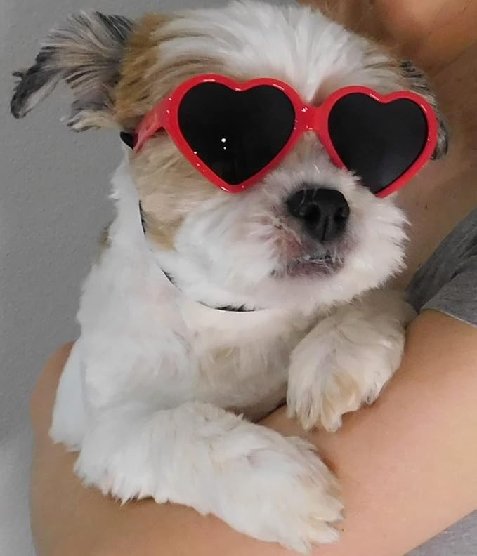 G016 Dog Small Breed up to 15lbs Puppy Cat Pet Heart Tiny Sunglasses (Heart Red)