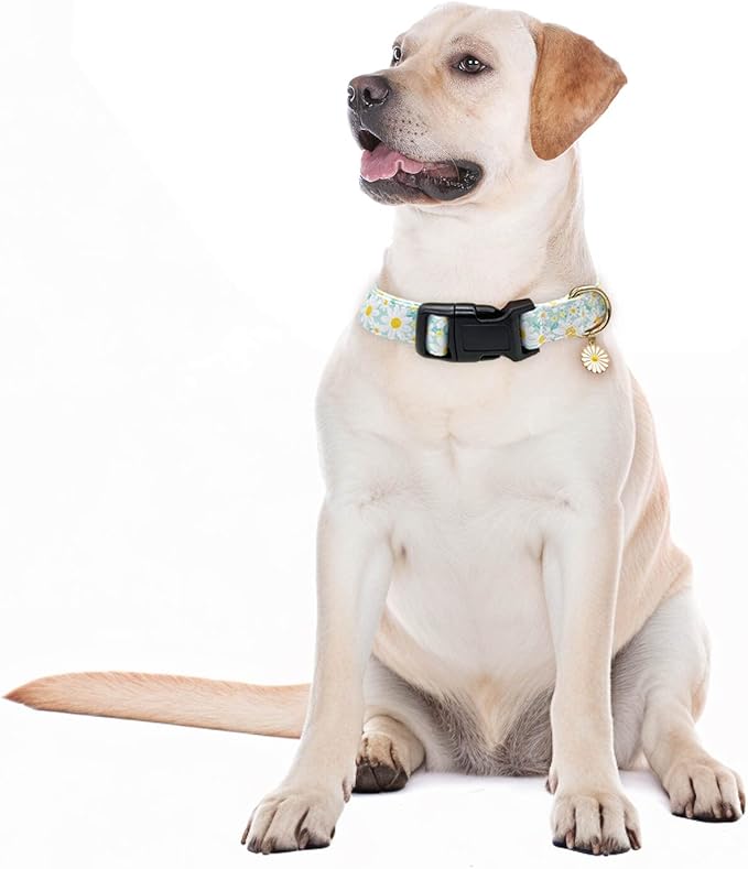 Dog Collars with Buckle Adjustable for Cute Girl Female Boy Dogs,Special Soft and Fancy Dog Pet Collar with Flower Design for Small Medium Large Dogs (L, Cyan-Daisy)