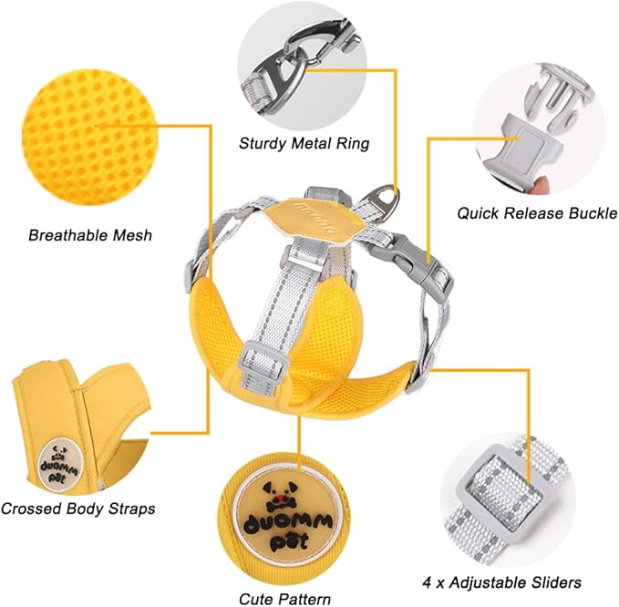 FEimaX Dog Harness Pet X Frame No Pull Step-in Harnesses with Leash Set, Adjustable Reflective Choke Free Puppy with Padded Vest for Small, Medium Dogs and Cats Walking Training