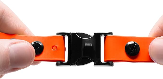 Educator Quick Snap Bungee Dog Collar, Biothane, Waterproof, Odorproof, Easy Connect and Disconnect Clasp and D Ring with Comfort Bungee Loop, Adjustable for Custom Fit, 3/4-Inch, Orange