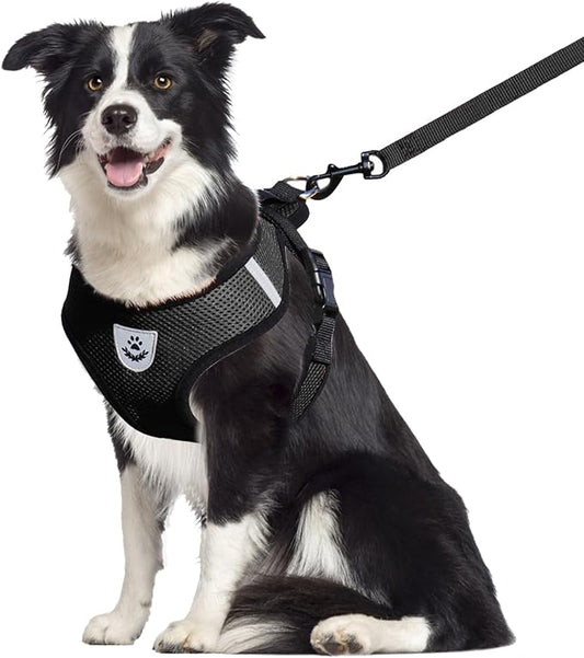 shudyear Dog Walking Chest Harness and Leash, Anti-Escape Adjustable Soft Mesh Dog Leash and Harness Set for Small Dog and Puppies, Vest for Medium Sized Dogs (Black, XL)