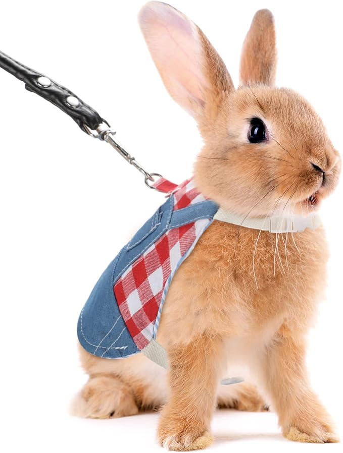 Rabbit Harnesses and Leashes Rabbit Supplies Bunny Walking Harnesses Leashes Suitable for Walking with Kittens and Puppies(Small,Red)