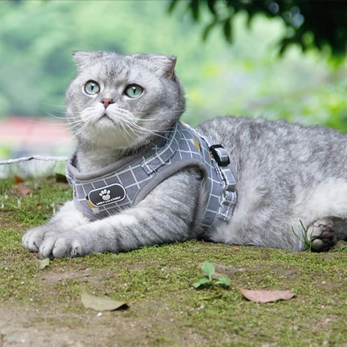 FEimaX Dog Harness and Leash Set, No-Pull Breathable Soft Mesh Puppy Vest Harness Reflective Adjustable Pet Harnesses for Small Medium Dogs and Cats - Outdoor Easy Control for Walking