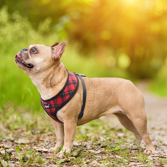 PUPTECK Soft Mesh Dog Harness and Leash Set Pet Puppy Cat Comfort Padded Vest No Pull Harnesses, Red&Black, L