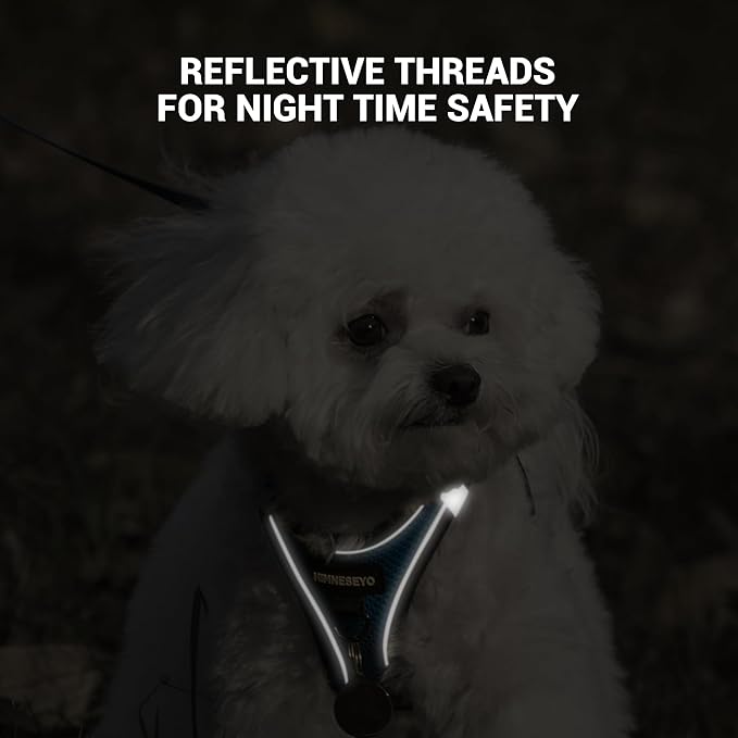 Dog Harness and Leash Set, Dog Harness for Dogs No Pull, No-Chock Step-in Reflective Breathable Lightweight Easy Walk Vest Harnesses with Safety Buckle for Small Medium Dogs, Cats (Blue, XL)