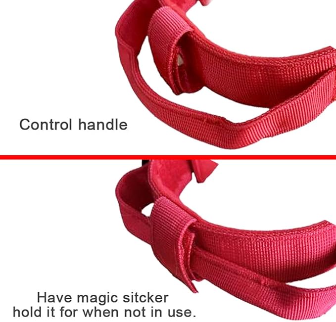 Xqpetlihai Tactical Dog Collar and Leash Set Adjustable Military Nylon Dog Collar with Control Handle and Heavy Duty Metal Buckle for Large Dogs（Red M