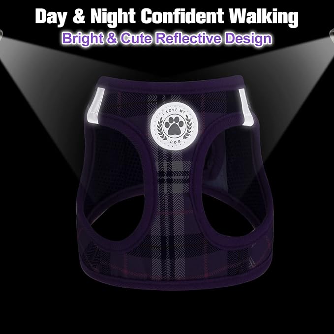 BEAUTYZOO Small Dog Harness and Leash Set, Step in No Choke No Pull Soft Mesh Dog Harnesses Reflective for Extra-Small/Small Medium Puppy Dogs and Cats, Plaid Dog Vest Harness for XS S Pets, Purple L