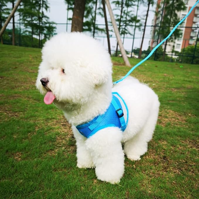 FEimaX Dog Harness and Leash Set for Walking, Soft Mesh Adjustable Easy Control Lightweight Cat Vest Harnesses with Reflective Strips, Escape Proof Small Dogs Cats Vests (Azure, Large)