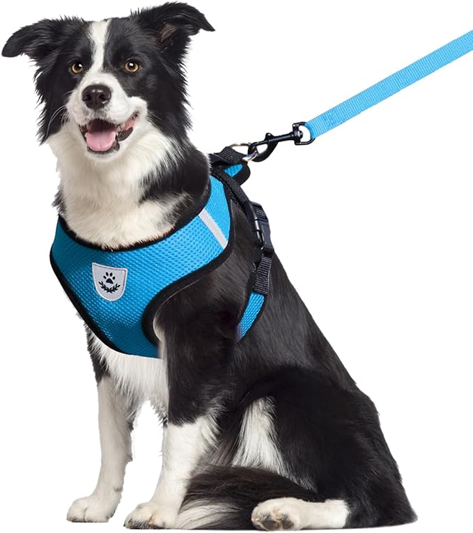 shudyear Dog Walking Chest Harness and Leash, Anti-Escape Adjustable Soft Mesh Dog Leash and Harness Set for Small Dog and Puppies, Vest for Medium Sized Dogs (Sky Blue, XL)