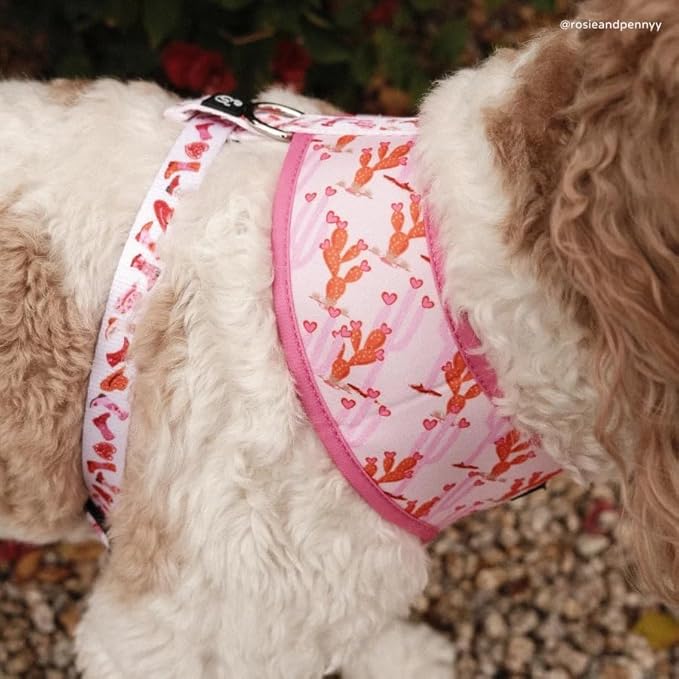 Lucy & Co. Cute Reversible Dog Harness Walking Halter - Best Designer Pet Harnesses for XS - XL Dogs - Padded Adjustable Vest for Easy Walking. (Howdy, Honey Reversible Harness)