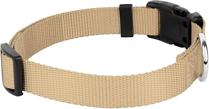 Country Brook Petz - American-Made Dog Collar for Large, Medium, and Small Dogs and Puppies - Deluxe Heavy Duty Nylon in 33 Dazzling Colors (Large, 1 Inch Wide, Copper Gold)