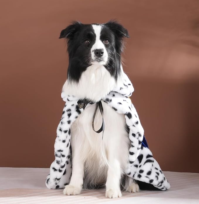 Lovelyshop pet Serial Lux Fur Blue Cat Dog Cloak for Halloween Costumes, King Queen Prince and Princess Cosplay-L