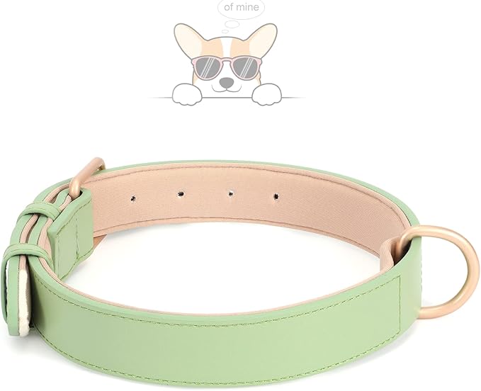 WHIPPY Leather Dog Collar for Small Medium Large Dog Adjustable Soft Breathable Leather Padded Puppy Collar with Alloy Buckle Heavy Duty Waterproof Classic Dog Pet Collar,Green,S