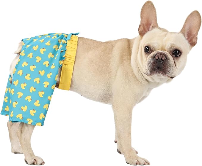 HDE Dog Swim Trunks Hawaiian Board Shorts Beach Pool Swimsuit for XS to XXL Dogs Teal Rubber Ducks - S