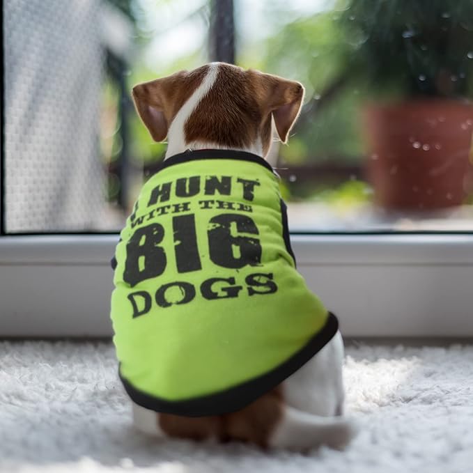 Saintrygo 8 Pieces Dog Shirts Pet Printed Clothes with Funny Letters Summer Pet T Shirts Cool Puppy Breathable Dog Outfit Soft Sweatshirt Cats(Vivid Pattern,Small)