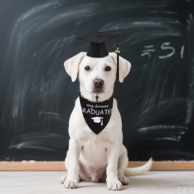PUPTECK Dog Graduation Bandana Outfit Scarf with Cute Doggy Cap, Costume Decorations Supplies for Small Medium Large Dogs Boy Girl Gifts, Black