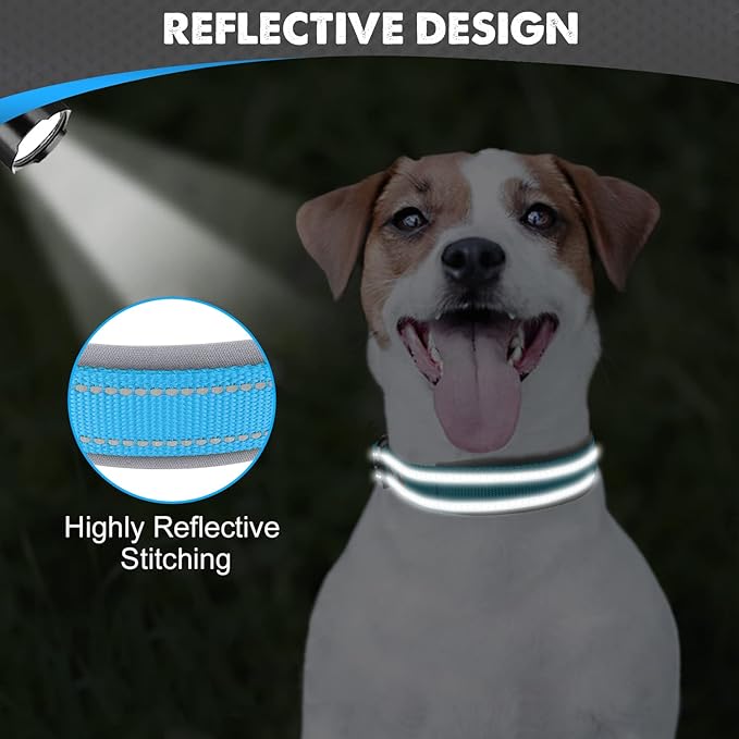 Joytale Dog Collar for Small Dogs, Neoprene Padded and Adjustable, Reflective Wide Heavy Duty Pet Collars with Durable Metal Belt Buckle for Walking, Sky Blue, S