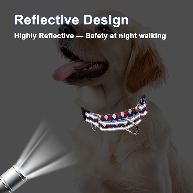 Reflective Martingale Dog Collar with Buckle Soft Nylon Geometric Patterns Pet Collars for Medium Dogs (Argyle, M)